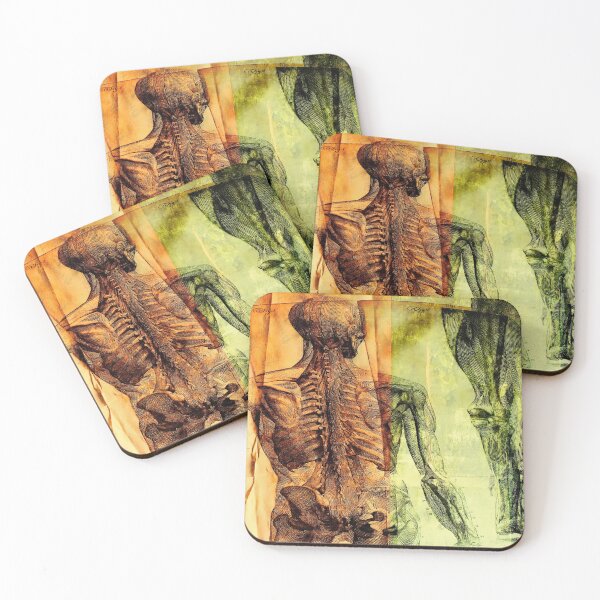 Item preview, Back Anatomy 2 designed and sold by kimopix.