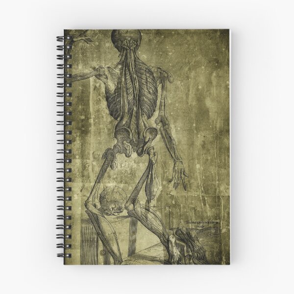 Item preview, Back Anatomy designed and sold by kimopix.