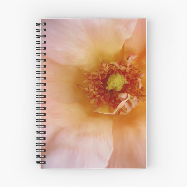 Item preview, Peach Rose (Macro) designed and sold by Karen  Betts.