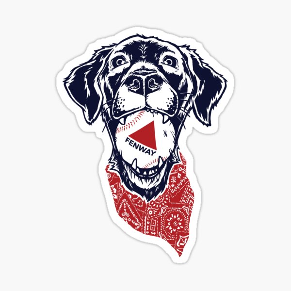 Bumper Sticker - Fenway –