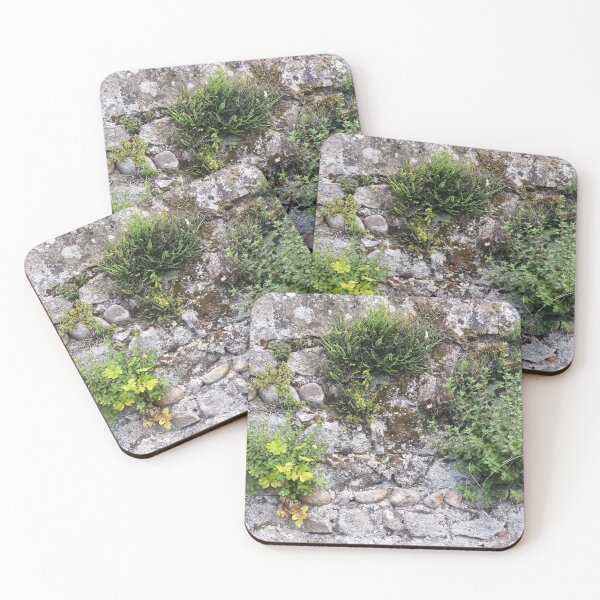 Item preview, Wall with plants designed and sold by KNBS.