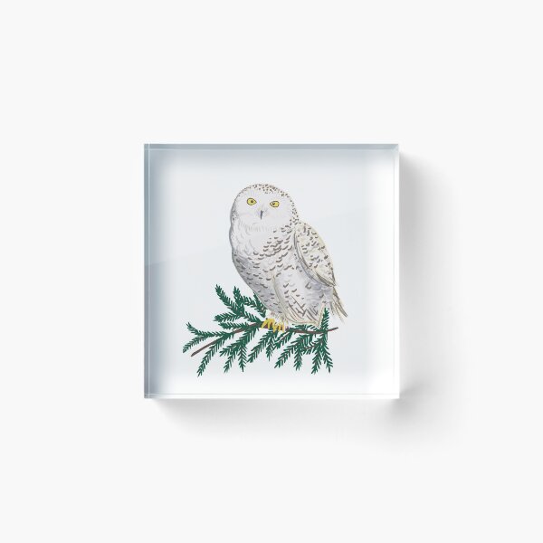 Item preview, White snow owl designed and sold by Luaillustration.