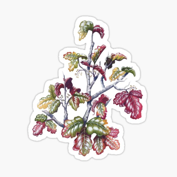 Item preview, Hiedra venenosa designed and sold by Terra Dawson.