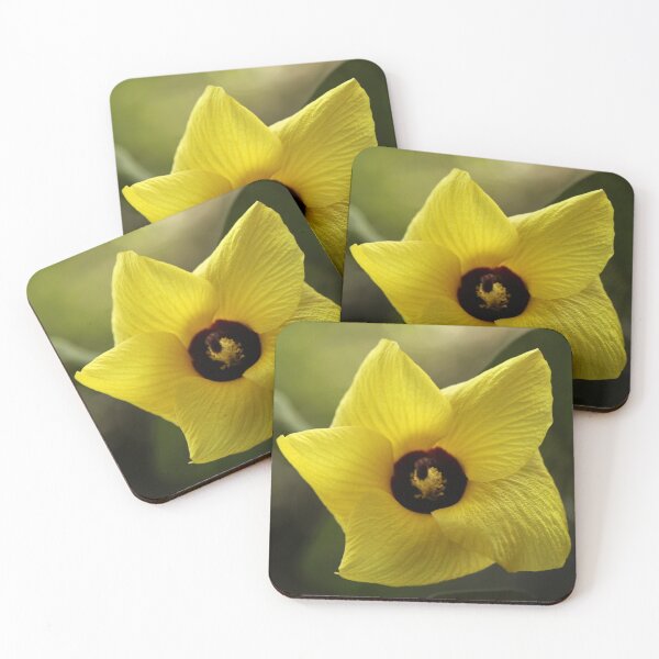 Item preview, Meijo designed and sold by Aires Photography.