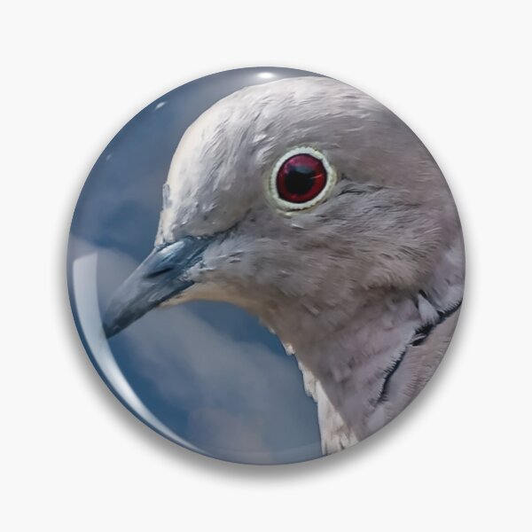 Item preview, Collared Dove designed and sold by AJEvans.