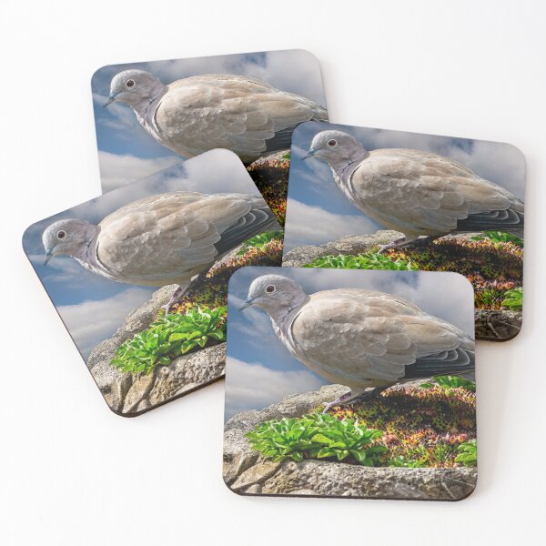 Item preview, Collared Dove designed and sold by AJEvans.