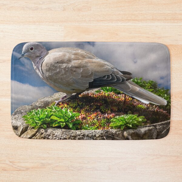 Item preview, Collared Dove designed and sold by AJEvans.