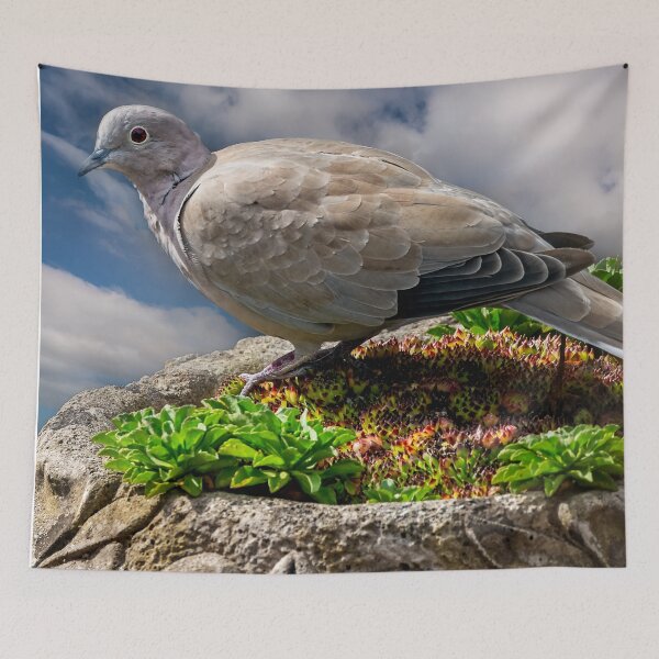 Item preview, Collared Dove designed and sold by AJEvans.