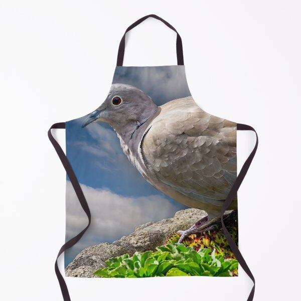 Item preview, Collared Dove designed and sold by AJEvans.