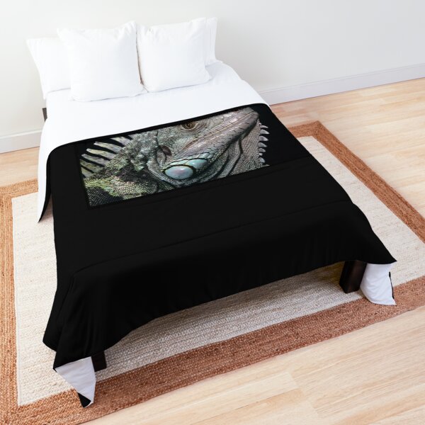 The Iguana Comforter