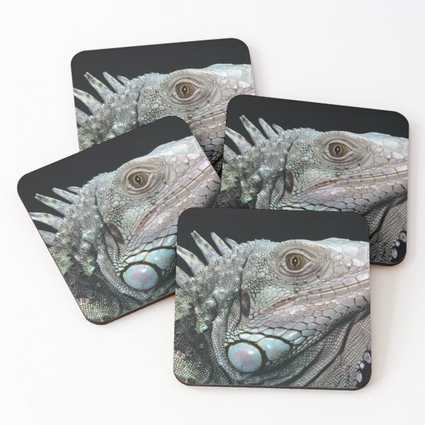Item preview, The Iguana designed and sold by HavelinMaking.
