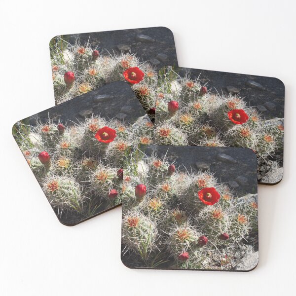 Item preview, Blooming Cactus designed and sold by devenm.