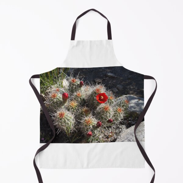Item preview, Blooming Cactus designed and sold by devenm.