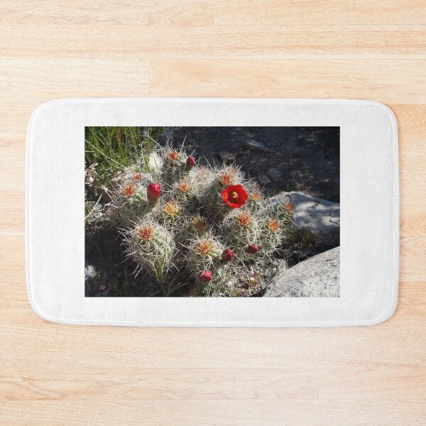 Item preview, Blooming Cactus designed and sold by devenm.