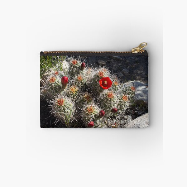 Item preview, Blooming Cactus designed and sold by devenm.