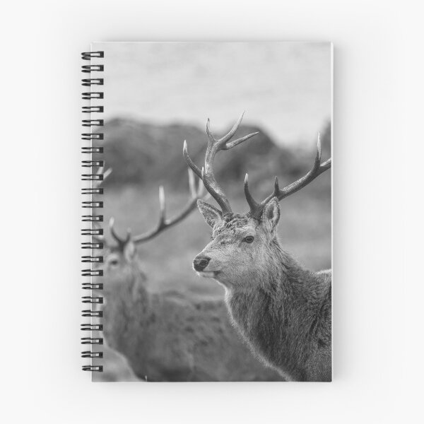 Item preview, Red Deer Stags in Scotland designed and sold by derekbeattie.