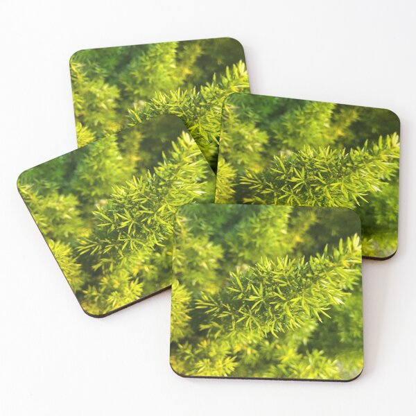 Item preview, Macro Pine Tree designed and sold by emmavxlerio.