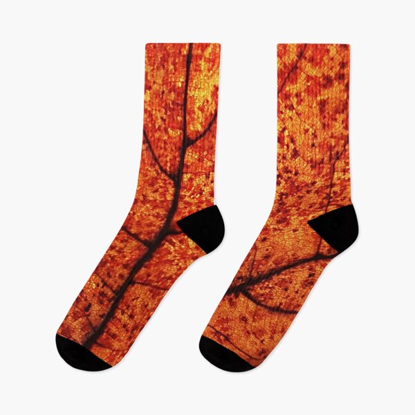 Item preview, Autumn fall orange leaf designed and sold by Digibee.
