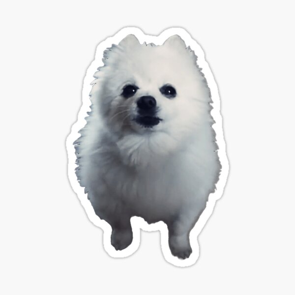 Gabe the dog meme Sticker