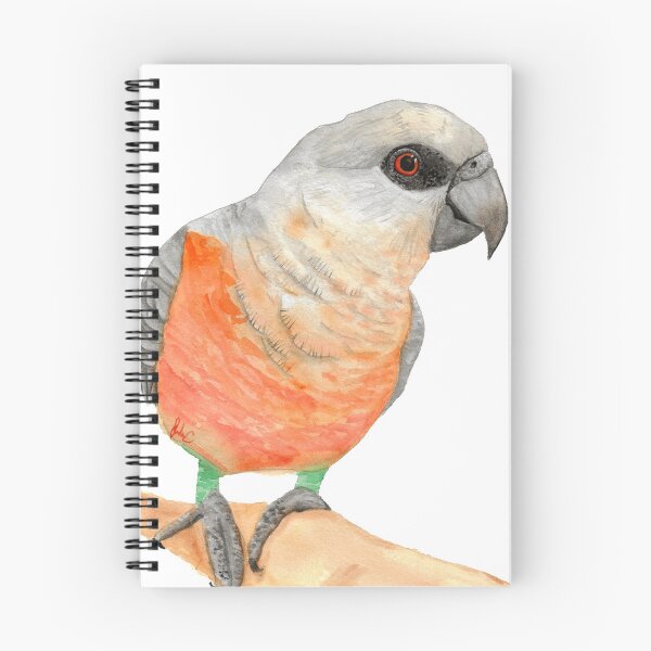 Item preview, Red bellied parrot watercolor designed and sold by L'Atelier Oranjade.