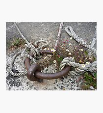 Mooring and ropes with daisies Photographic Print
