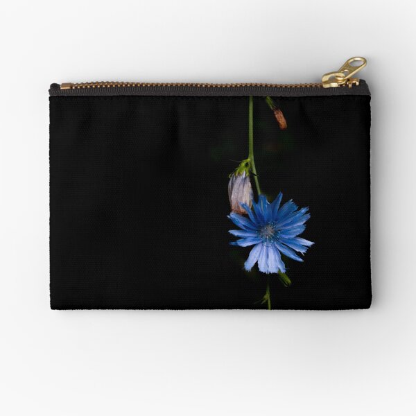 Chicory Flower on Black Background Zipper Pouch