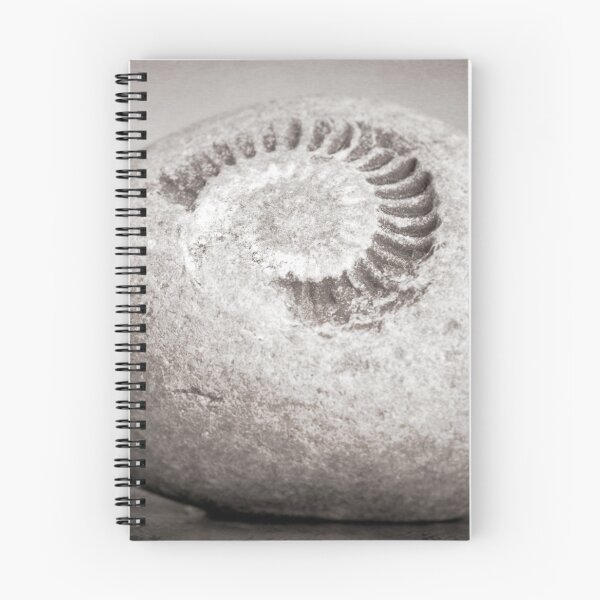 Item preview, Fossil designed and sold by RJDowns.