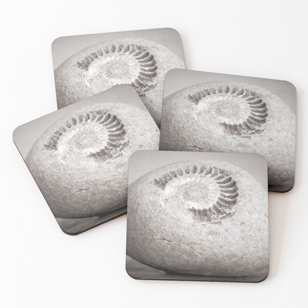 Item preview, Coasters (Set of 4) designed and sold by RJDowns.