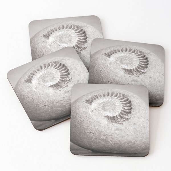 Item preview, Fossil designed and sold by RJDowns.