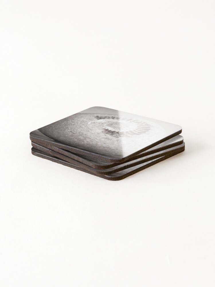Thumbnail 4 of 5, Coasters (Set of 4), Fossil designed and sold by RJDowns.
