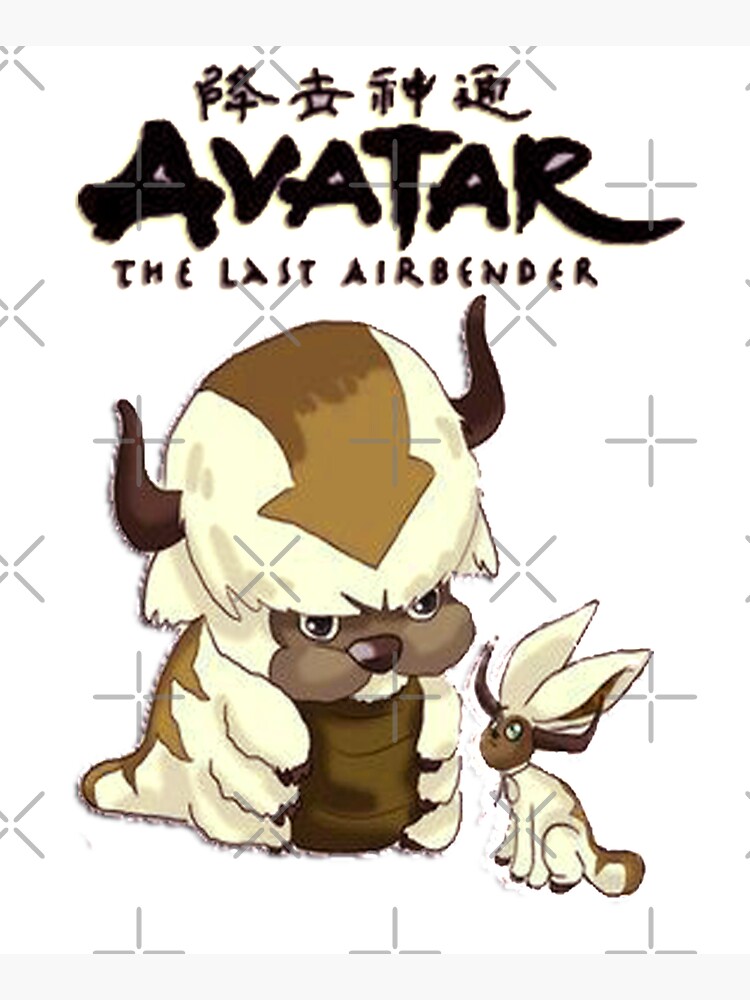 avatar appa bean bag