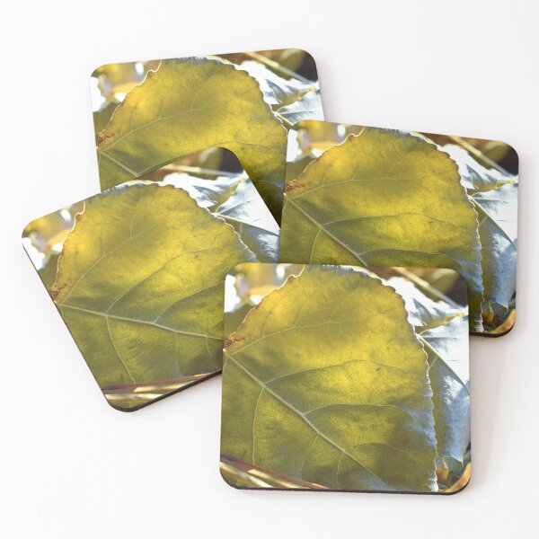 Item preview, Large green autumn leaves with sunlight designed and sold by Ventures1.