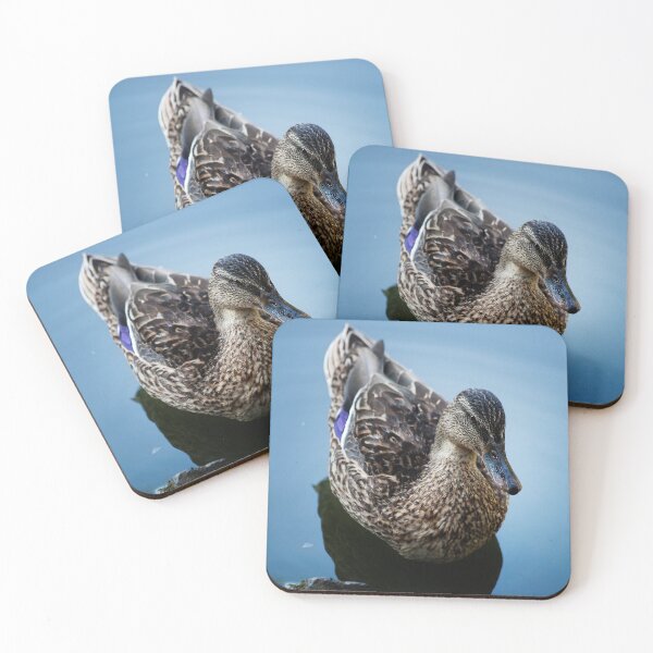 Artikelvorschau, Wasservogel Jagt Ente Stockente Gans Jagdsaison entworfen und verkauft von DOM-Shop.