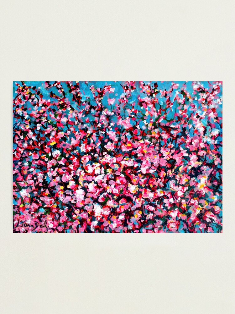 Thumbnail 1 of 3, Photographic Print, Cherry Blossom designed and sold by eolai.