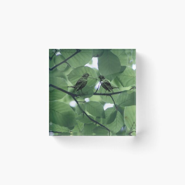 Artikelvorschau, *AMONG THE FOLIAGE* entworfen und verkauft von Berezabella.
