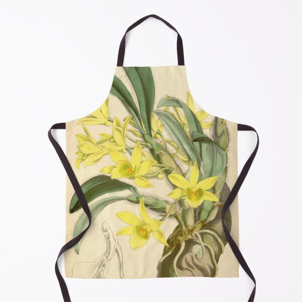 Item preview, Dendrobium senile designed and sold by EsotericBotanic.