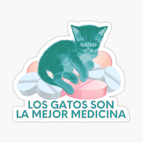 Pin em Gato Galáctico