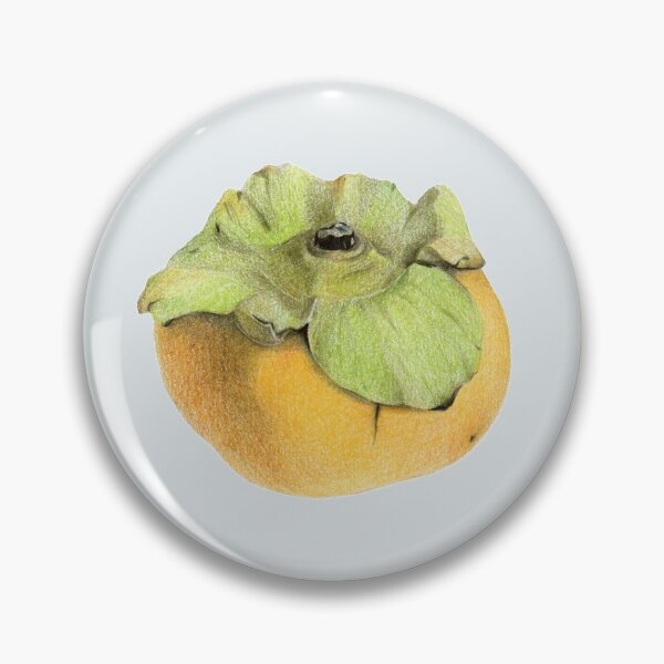 Item preview, Persimmon. Hand drawn botanical illustration. designed and sold by Antonina Sotnikova.