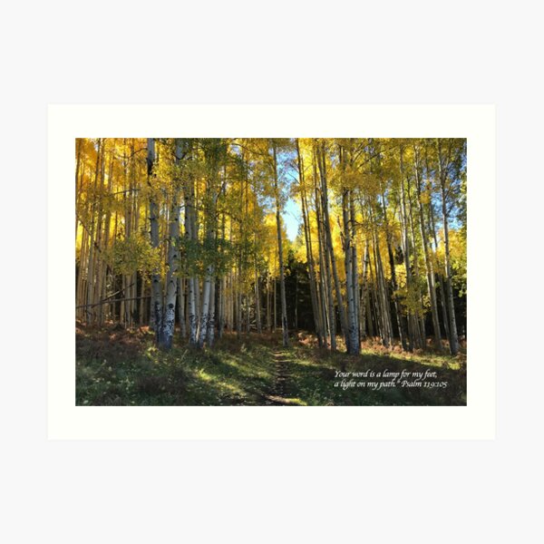 Aspen Trail with verse - From ccnow.info Art Print
