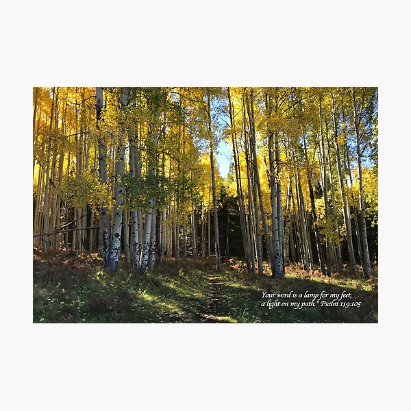 Aspen Trail with verse - From ccnow.info Photographic Print