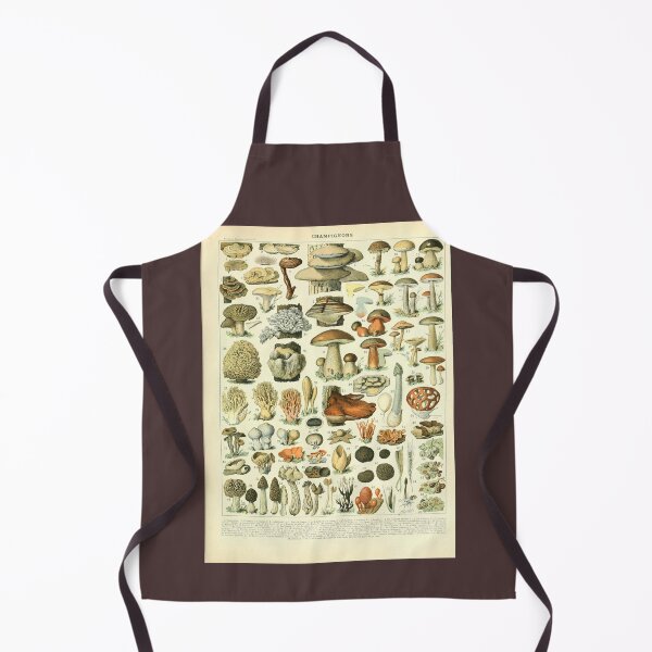 Item preview, Mushroom chart - champignons vintage illustration designed and sold by Cravagnati.