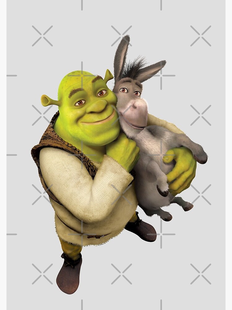 Shrek and Donkey, Shrek and Friends, at the movies, cartoons, shrek png