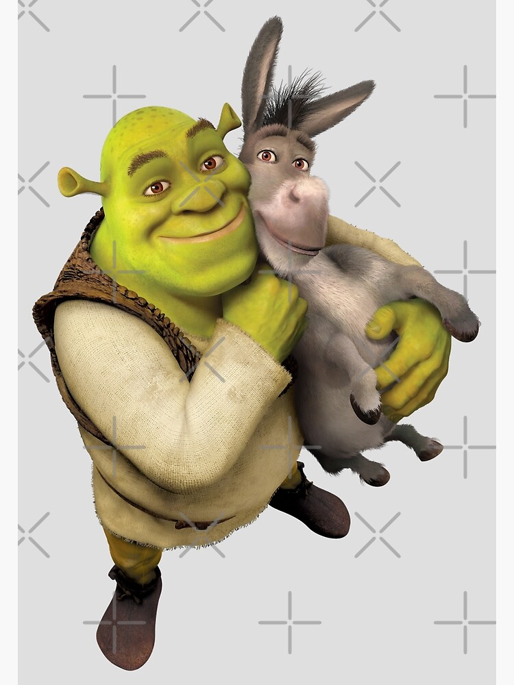 Shrek and Donkey, Shrek and Friends, at the movies, cartoons, shrek png