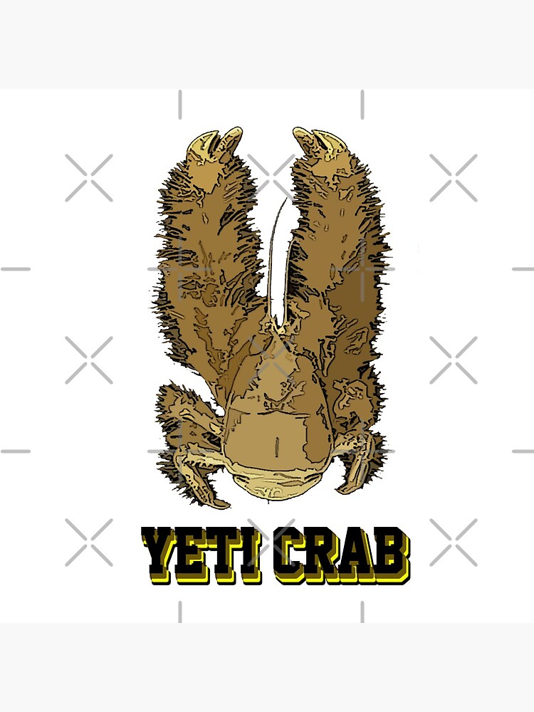 "THE YETI CRAB - FUNNY CARTOON DESIGN OF THE WEIRDEST FURRY CREATURE OF