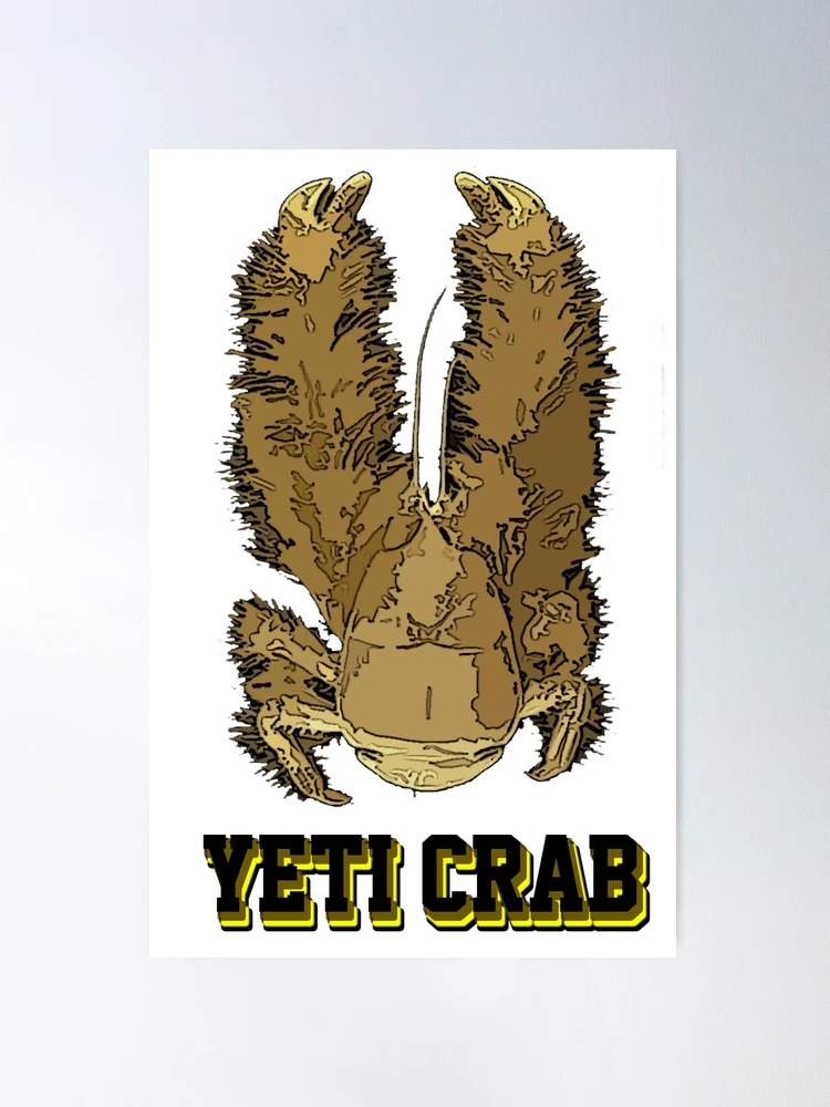 We just got the new YETI King Crab - Dominion Outdoors
