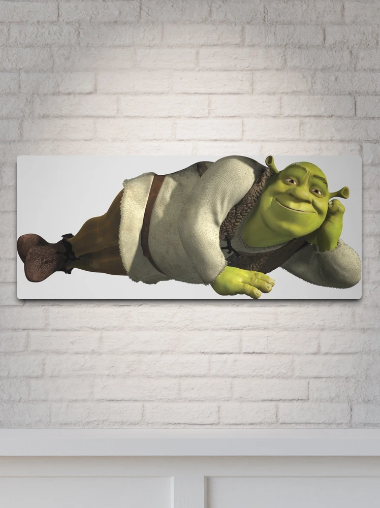 What are you doing in my Shrek Crocs  Metal Print for Sale by