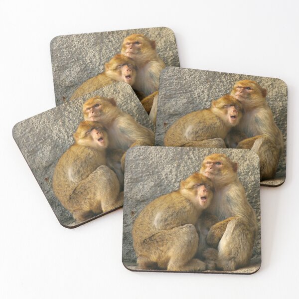 Item preview, Monkeys designed and sold by gallofoto.
