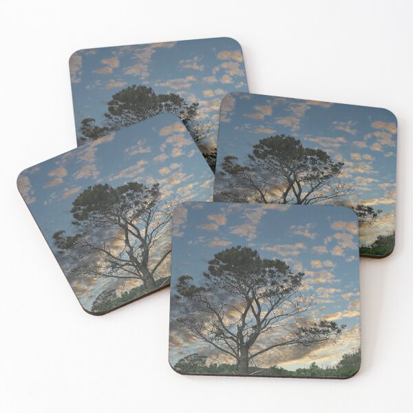 Item preview, Coastal Pine designed and sold by dbvirago.