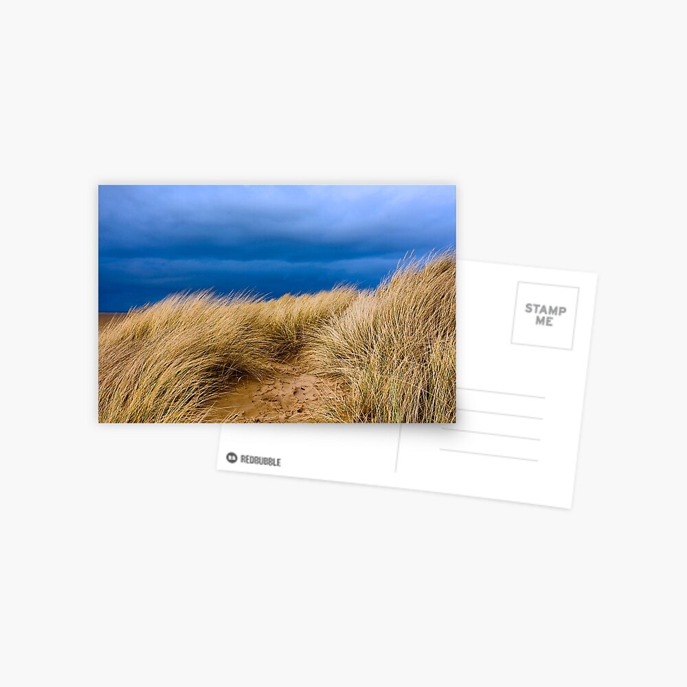 Item preview, Postcard designed and sold by McBay.