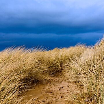 Artwork thumbnail, Sand Dunes, St. Annes by McBay